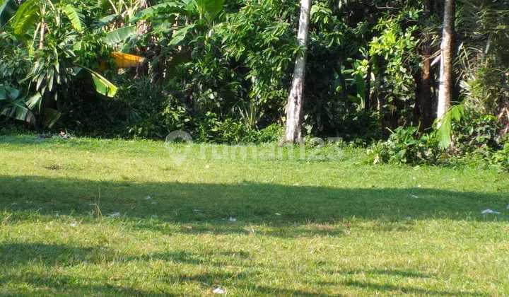 Tanah Jual.di.taman.sari Ciapus.bogor