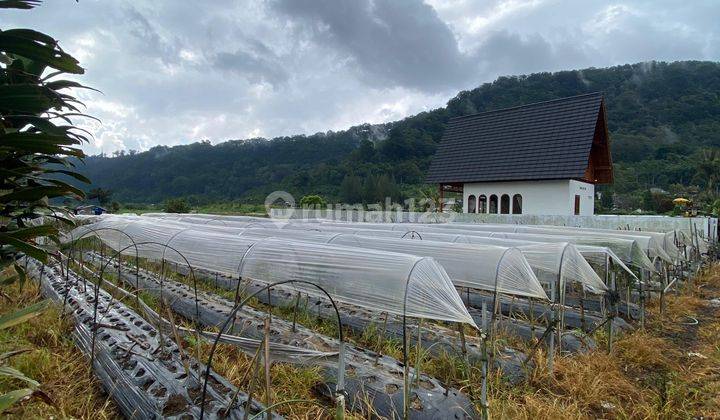 Tanah Pemandangan Danau Buyan Link Rapih Dan Akses Jalan Lebar 2