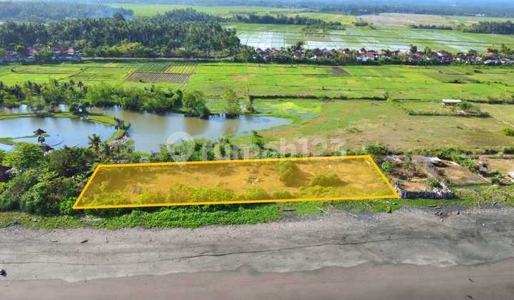 Rare Beachfront Land in Perancak, Jembrana