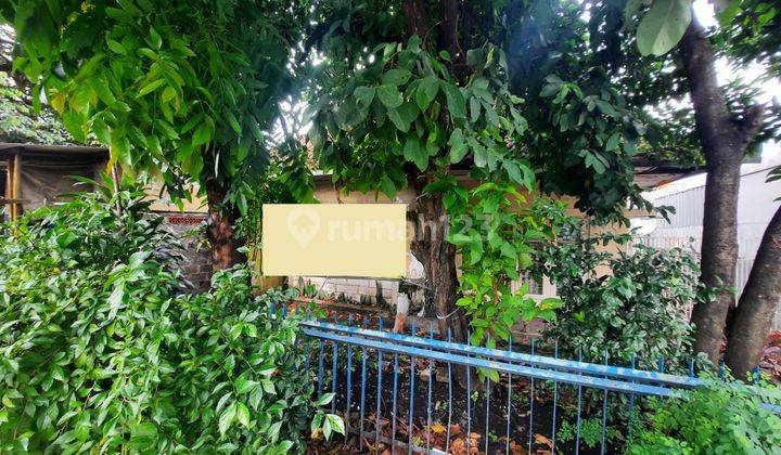 La.572 Dijual Cepat Rumah Tua Hitung Tanah di Ciracas 2