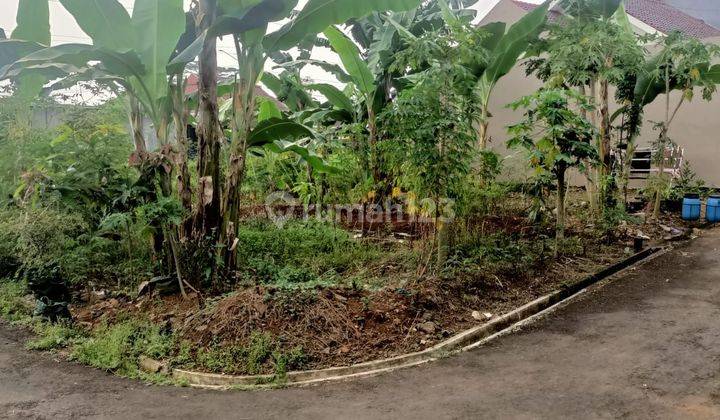 Dijual  cepat tanah kavling  gandeng di komplek belakang Pemda kajen pekalongan  1