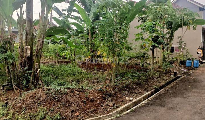 Dijual  cepat tanah kavling  gandeng di komplek belakang Pemda kajen pekalongan  2