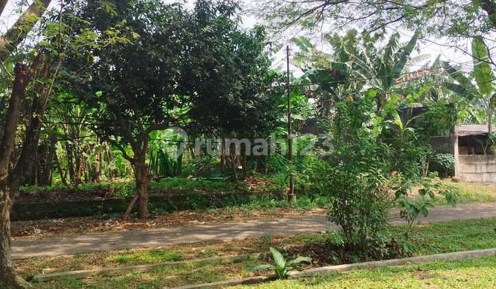 Dijual Cepat Tanah Ciracas Cibubur bukit permai jakarta timur 