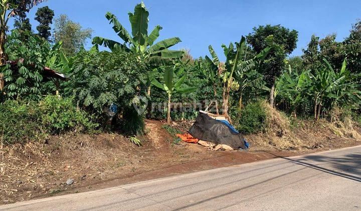 La.1194 Dijual Tanah 27 Hectare di Cibinong Hilir Cianjur  2