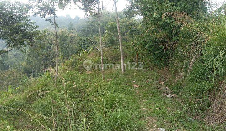 Dijual Cepat Tanah Di Suka Makmur Jonggol Puncak 2 1