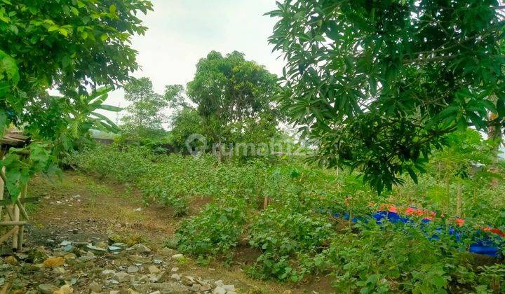 Dijyal Cepat Tanah Di Belakang Pesona Kahuripan 1 Cileungsi Sudah Shm 2