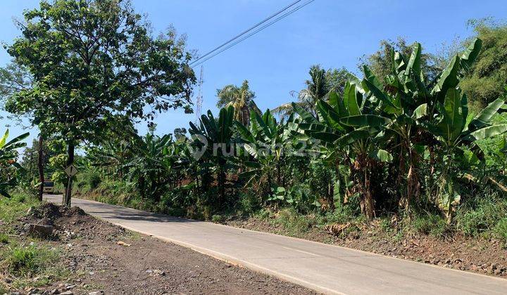 La.1194 Dijual Tanah 27 Hectare di Cibinong Hilir Cianjur  2