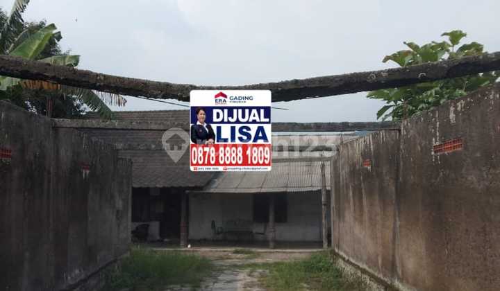 Di Jual Cepat Tanah Luas Lokasi Strategis di Cibungbulang Bogor Barat Di Jual Cepat Tanah Luas Lokasi Strategis di Cibungbulang Bogor Barat