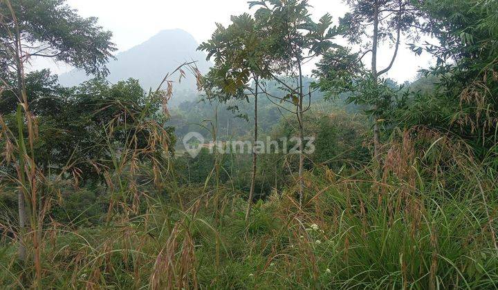 Dijual Cepat Tanah Di Suka Makmur Jonggol Puncak 2 2