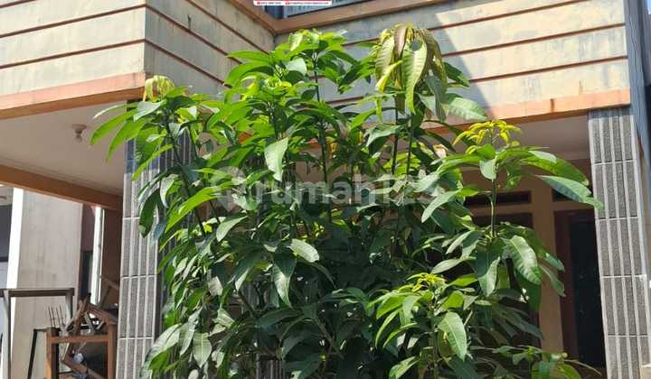 Di Jual Cepat Rumah 2 Lantai di Cibubur Mansion Cileungsi Bogor 1