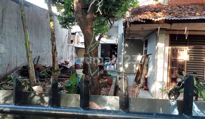 For Sale Old House with Large Land, Land Size Calculated in Koja