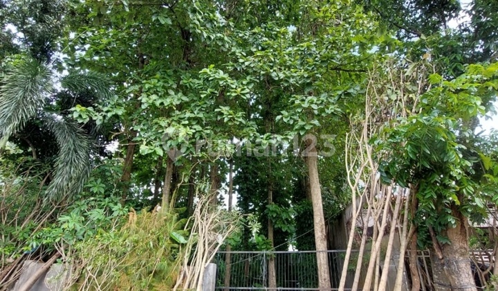 Di Jual Tanah Di Kavling Dki. Meruya Utara. Kembangan.jakarta Barat