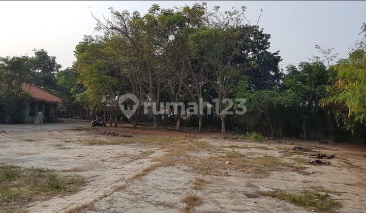 Di Jual Bu Tanah/Kavling di Mauk Raya Sepatan. Tangerang Di Jual Bu Tanah/Kavling di Mauk Raya Sepatan. Tangerang