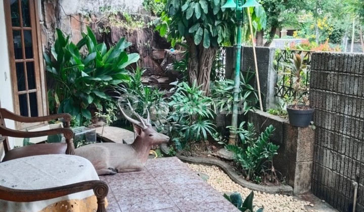 Ready-to-Occupy House in Pulomas with Access for 3 Cars 2