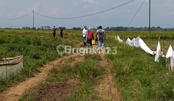 INDUSTRIAL LAND FOR QUICK SALE IN SUBANG