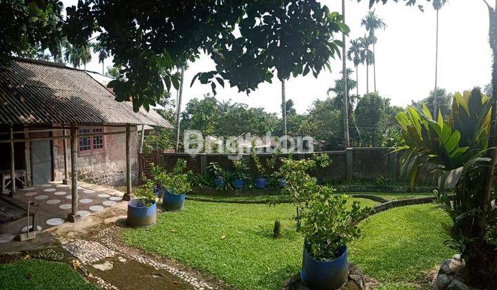 VILLA MURAH SELANGKAH KE CURUag NANGKA DAN CURUG LUHUR TERLETAK  DIKAKI GUNUNG SALAK 2