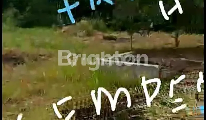 STRATEGIC LAND IN CIAMPEA BOGOR STRATEGIC LAND IN CIAMPEA BOGOR