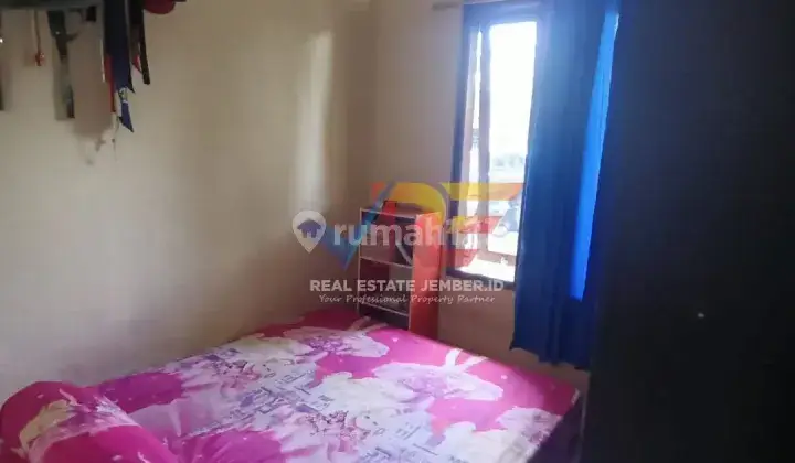JUAL RUMAH MURAH DI JALAN BASUKI RAHMAT - TEGAL BESAR JEMBER 11