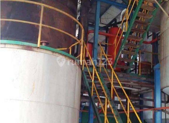 Dijual kebun sawit dan pabrik di Dumai 12240 hectare 4