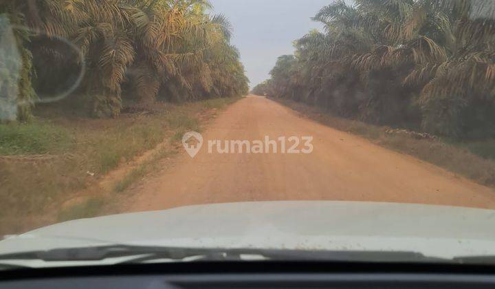 Dijual kebun sawit dan pabrik di Dumai 12240 hectare 6