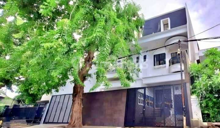 Rumah Bagus Di Tomang Jual Cepat.  2