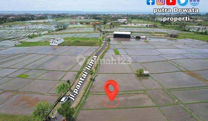 Cheap Strategic Land in Pererenan Badung Bali 1