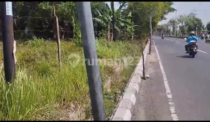 Provincial Road Land Lease, Zero Land, Tuban City