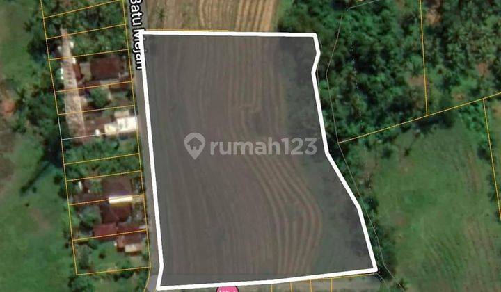 Dijual Tanah Strategis 72 Are di Selemadeg Tabanan Bali  1