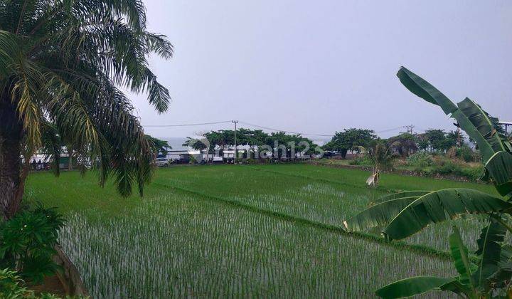 Disewakan Rumah Di Singaraja Dekat Pantai  2