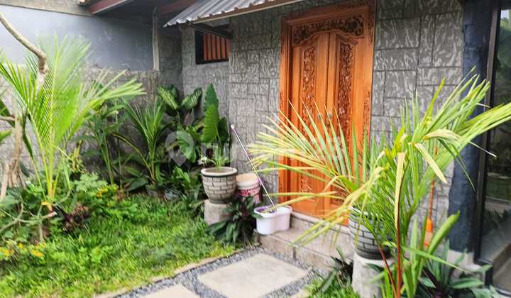 For Rent Semi Villa House Near Sanur Beach and Shopping Center For Rent Semi Villa House Near Sanur Beach and Shopping Center