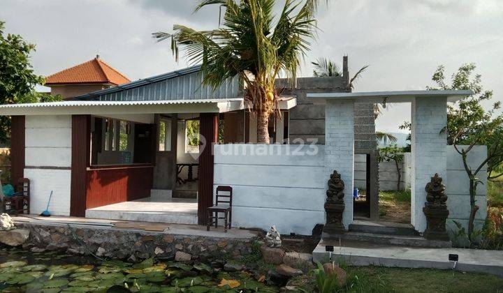 House For Rent In Singaraja Close To Lovina 1