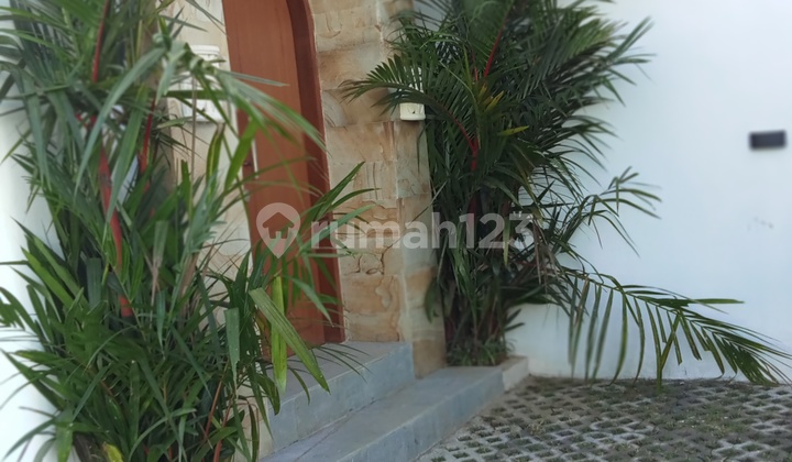 For Rent New Villa Location Pererenan Canggu