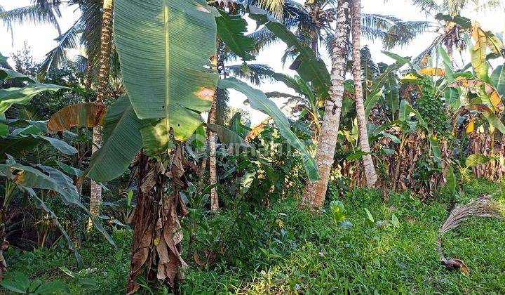 Di jual Tanah kerambitan  Tabanan bali 3