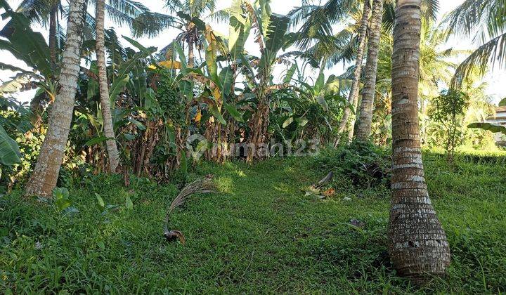Di jual Tanah kerambitan  Tabanan bali 4