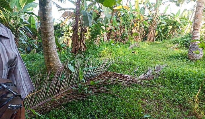 Di jual Tanah kerambitan  Tabanan bali 8