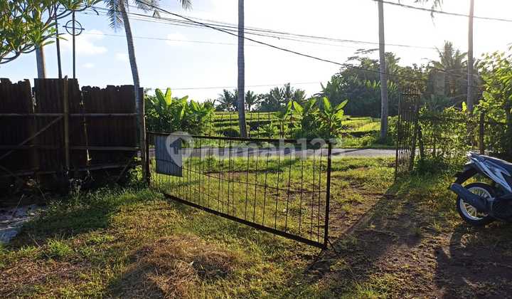 Di jual Tanah kerambitan  Tabanan bali 7