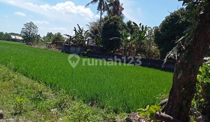 Di jual tanah ada sawahnya  area Kediri ,pinggir jalan  lokasi strategis,Kediri lombok barat 1