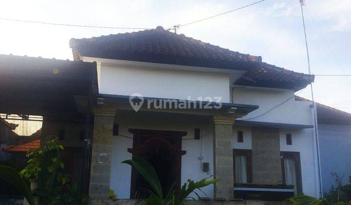 For sale, minimalist house in Singaraja, 10 minutes to the beach 1