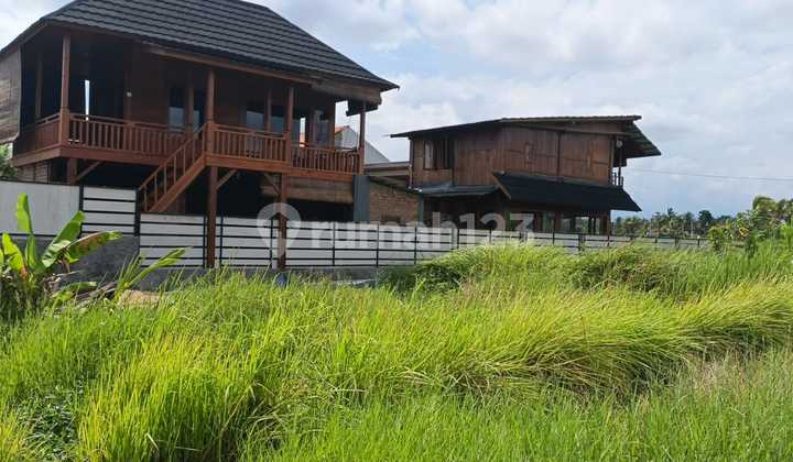 Dijual Tanah Strategi Lokasi Ubud Bali