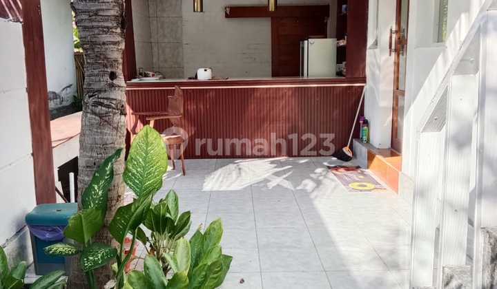 Dikontrakan Rumah Halaman Luas Lokasi Lingkungan Villa Banjar Singaraja Buleleng Bali Dikontrakan Rumah Halaman Luas Lokasi Lingkungan Villa Banjar Singaraja Buleleng Bali