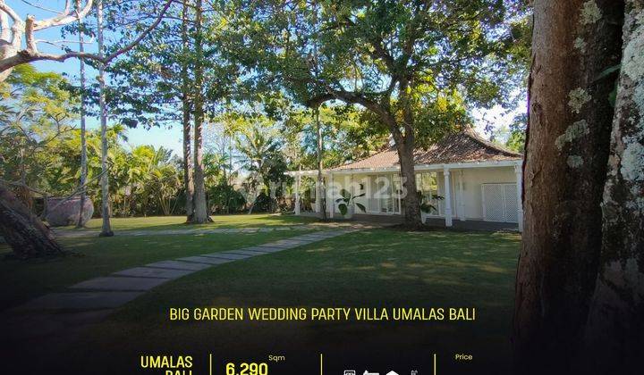 Big garden wedding party villa in Umaalas  1