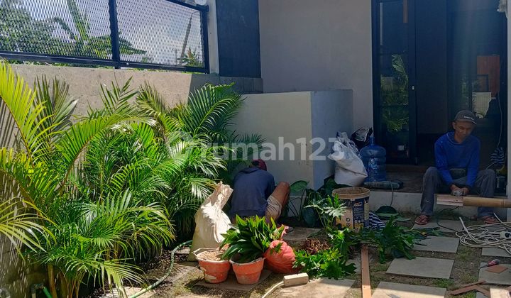 Very Very Cheap Modern Buc Villa In Canggu 2