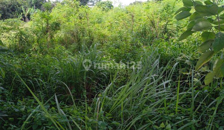 Tanah Murah Cocok Tempat Usaha, Kantor, Sekolah di Setu, Bekasi 6