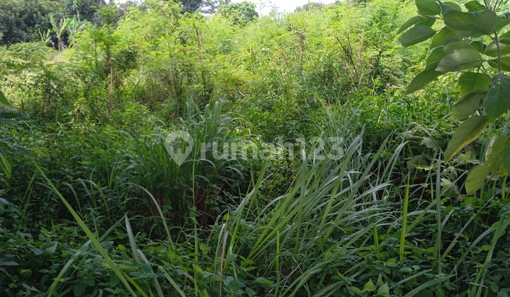 Tanah Murah, Cocok Tempat Usaha, Sekolah, Kantor di Setu, Bekasi 4