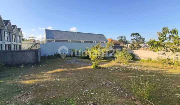 For Sale Cheap Land in Bingin. Plot 545m2. Price 1.4 Billion Per Are Negotiable. For Sale Cheap Land in Bingin. Plot 545m2. Price 1.4 Billion Per Are Negotiable.