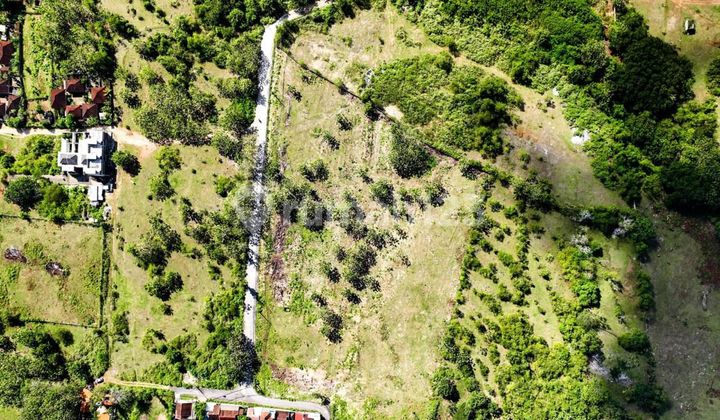 Cheap Land for Sale at Balangan Beach. Land Area 1 Hectare. Price 650 Million Per Are Negotiable