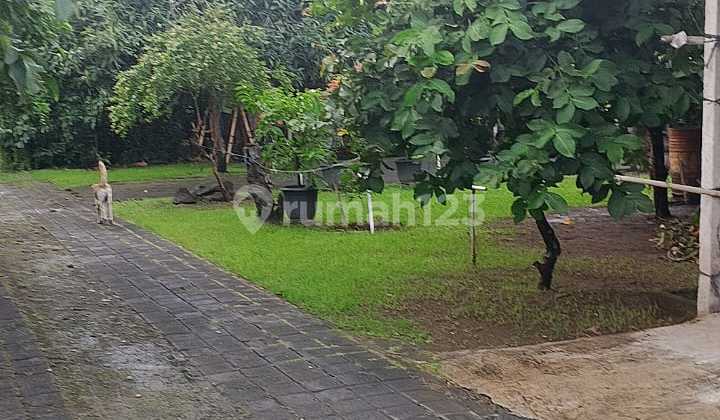 Dijual Tanah Murah di Jalan Trengguli. Lt 560M2. Harga 700 Juta Per Are