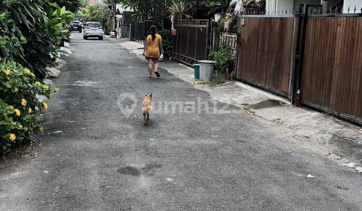 Dijual Tanah Murah Di Jayagiri Renon. Lt 500m2. Harga 1,1 Milyar Dijual Tanah Murah Di Jayagiri Renon. Lt 500m2. Harga 1,1 Milyar