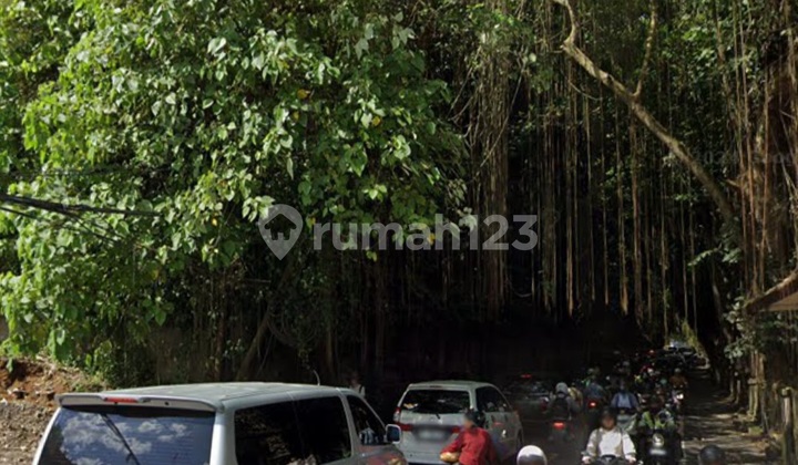 For Rent Cheap Land in Central Ubud. Land Area 4,300M2. Price 40 Million Per Are Per Year Negotiable For Rent Cheap Land in Central Ubud. Land Area 4,300M2. Price 40 Million Per Are Per Year Negotiable