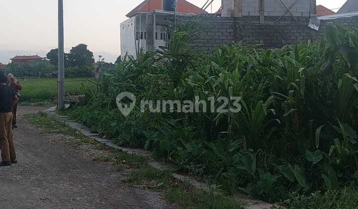 Land For Rent, Suitable For Housing, Area 4000m2